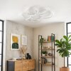 Molin Plafoniera LED Bianco, 1-Luce