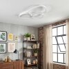Molin Plafoniera LED Bianco, 1-Luce