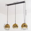 Ripoll Lampadario a sospensione, Lampada a sfera, Lampada a sospensione Oro, Chiaro, 3-Luci