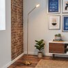 Kavin Lampada da terra LED Ottone, 1-Luce