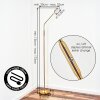 Kavin Lampada da terra LED Ottone, 1-Luce