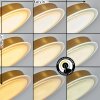 Kavin Lampada da terra LED Ottone, 1-Luce