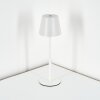 Salgadinho Lampada da tavolo per esterno, Lampada da tavolo LED Bianco, 1-Luce