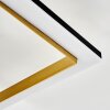 Tulor Plafoniera LED Nero, 1-Luce