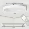 Tulin Plafoniera LED Bianco, 1-Luce, Telecomando