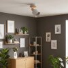 Olaris Plafoniera, Faretto da soffitto Cromo, Grigio, Écru, 1-Luce