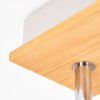Olaris Plafoniera, Faretto da soffitto Cromo, Grigio, Écru, 2-Luci