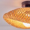 Bauro Plafoniera Nero, 1-Luce