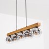 Ripoll Lampadario a sospensione, Lampada a sfera, Lampada a sospensione Écru, Nero, 5-Luci
