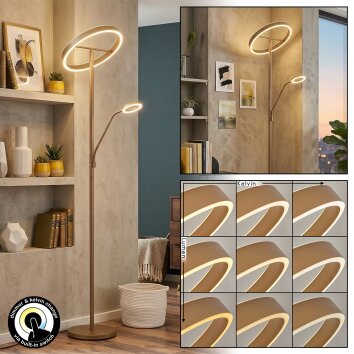 Melak Lampada da terra, Lampada da letture LED Oro, 2-Luci