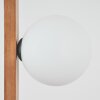 Zanin Lampada da terra LED Écru, Nero, 4-Luci