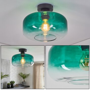 Boza Plafoniera Verde, Chiaro, 1-Luce