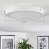 Finsrud Plafoniera LED Bianco, 1-Luce