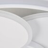 Brilliant Runda Plafoniera LED Bianco, 1-Luce