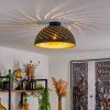 Osina Plafoniera Nero, 1-Luce