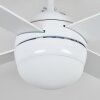 Lenok Lampada con ventilatore LED Aspetto del legno, Bianco, 1-Luce, Telecomando