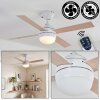 Lenok Lampada con ventilatore LED Bianco, 1-Luce, Telecomando