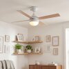 Lenok Lampada con ventilatore LED Bianco, 1-Luce, Telecomando