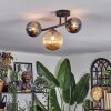 Chehalis Plafoniera, Lampada a sfera Ambrato, Cromo, Grigio fumo, 3-Luci