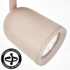 LED faretto da soffitto Lemak moderno, cilindrico orientabile, in Sabbia