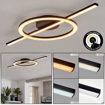 Nemil plafoniera LED moderna ad anello con barra, Kelvin Change per soggiorno
