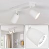 LED Faretto da soffitto Lemak moderno doppia struttura cilindrica orientabile, GU10