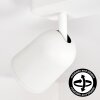 LED Faretto da soffitto Lemak moderno doppia struttura cilindrica orientabile, GU10