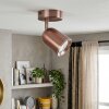 LED Faretto da soffitto Lemak, corpo cilindrico orientabile, per corridoio e ingresso