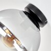 Gastor plafoniera a sfera in vetro fumé, lampada da soffitto vintage E27