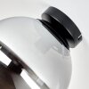 Gastor plafoniera in vetro fumé a sfera E27, design vintage moderno