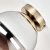Gastor plafoniera a sfera in vetro fumé, ottone anticato, attacco E27