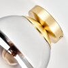 Lampada a sfera moderna Gastor, schermo chiuso in vetro cromo, trasparente e grigio fumo