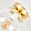 Moderna Plafoniera a sfera Gastor con schermo in vetro chiaro, ø 20 cm, in ottone