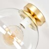 Plafoniera a sfera Gastor moderna in ottone con grande paralume in vetro chiaro ø 25 cm