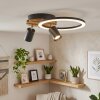 Velani plafoniera LED da soffitto a 2 luci con faretti orientabili e anello luminoso