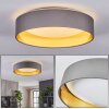 Kavon plafoniera LED rotonda moderna Ø 32 cm per soggiorno e camera da letto