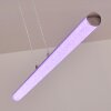 Flaut Lampada a Sospensione LED Cromo, 1-Luce, Telecomando, Cambia colore