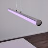 Flaut Lampada a Sospensione LED Cromo, 1-Luce, Telecomando, Cambia colore