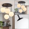 Chehalis plafoniera a sfere 4 luci G9, lampada da soffitto moderna vintage