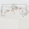 Koyoto plafoniera sferica 4 luci E14, lampada da soffitto per soggiorno