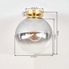 Plafoniera a sfera Gastor con paralume in vetro chiaro e grigio fumo, ø 25 cm, E27