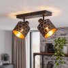 Faretto da soffitto Alsen con due moderni paralumi geometrici oro e nero, orientabili, E14