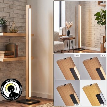 Inzino lampada da terra LED moderna sottile per soggiorno, altezza 123,5 cm