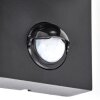 Applique da parete per esterno Kingstown con sensore di movimento, vetro chiaro IP44