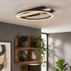 Kordex plafoniera LED moderna ad anello, 24 Watt, 4000 Kelvin, 730 Lumen