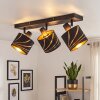 Alsen plafoniera con faretti orientabili E14 a 3 luci, design moderno