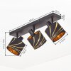 Alsen plafoniera con faretti orientabili E14 a 3 luci, design moderno