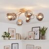 Chehalis plafoniera a sfere G9 6 luci Ø 64 cm lampada da soffitto vintage