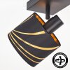 Faretto da soffitto moderno Alsen con 4 punti luce orientabili e paralumi oro e nero