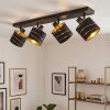 Faretto da soffitto Alsen, 4 paralumi oro e nero, faretti orientabili per corridoio e ingresso